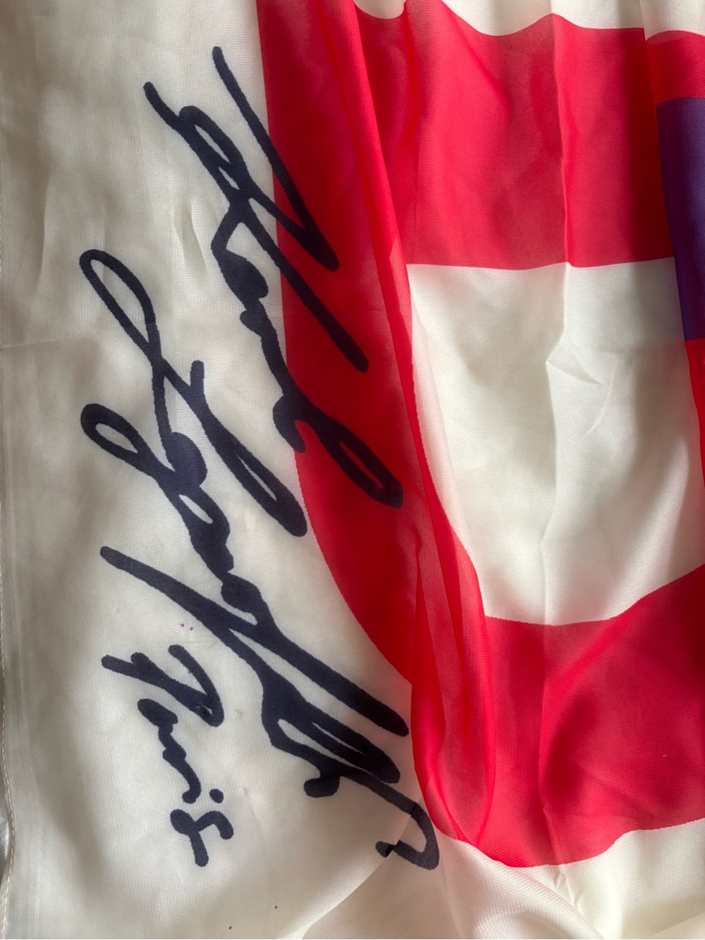 Karl Lagerfeld Scarf - Picture 5 of 14